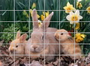 Puzzle online - Зайчиха с зайчатами